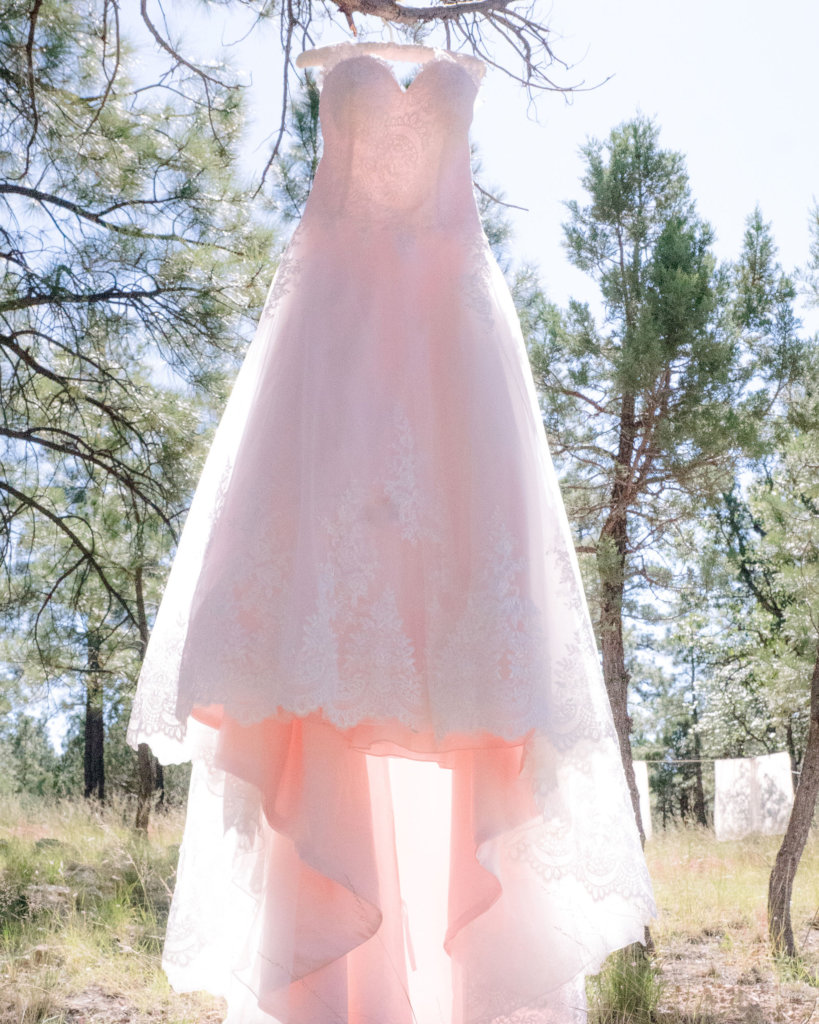 the soft romantic pink of the wedding dress