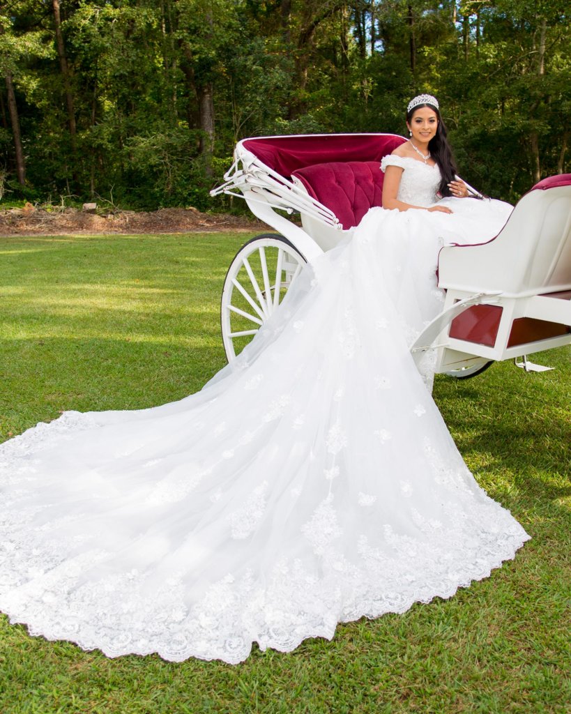 Princess Cathedral Train Tulle And Lace Wedding Dress LD4349