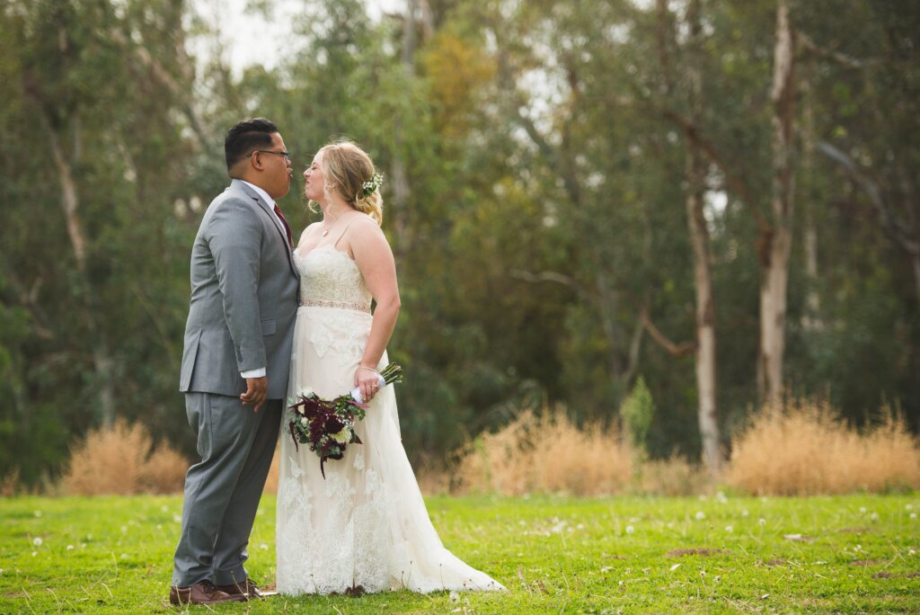 christmas wedding dress