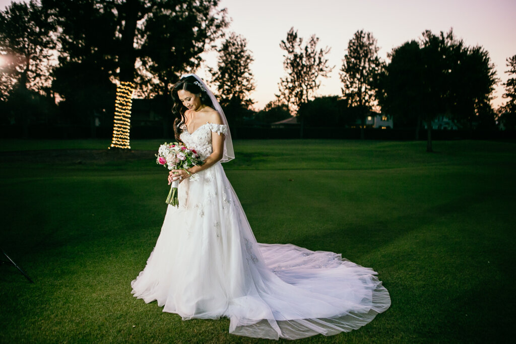 A-line tulle and lace wedding dress, Disney Wedding