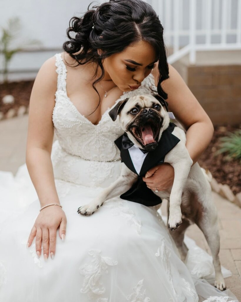 pet wedding ideas