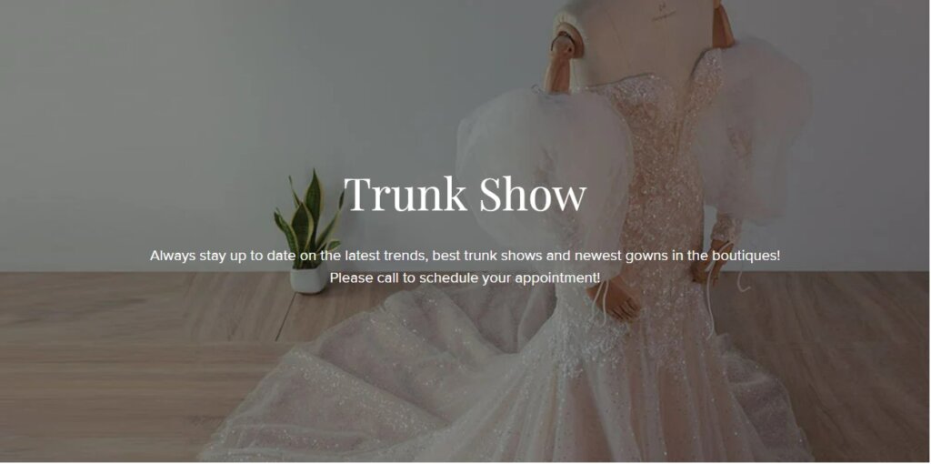 wedding dresses truck show